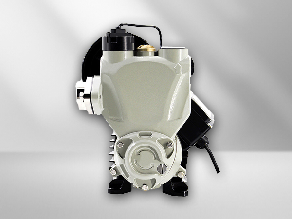 微電(diàn)腦全自動WZB型增壓泵 微電(diàn)腦智能增壓泵