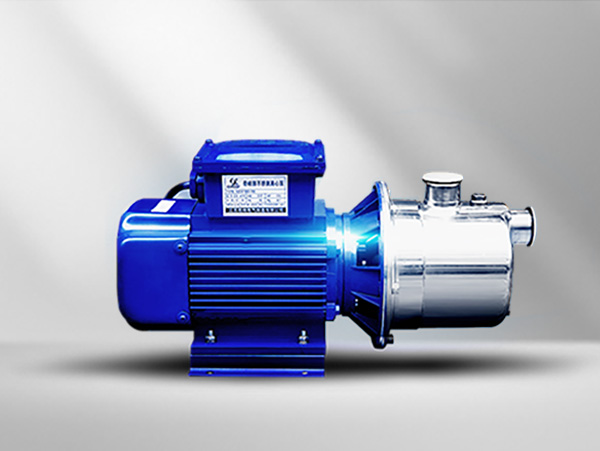 不鏽鋼尿素泵SZ